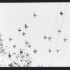 Vanderkindren_photos_to_go-2